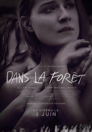 Dans la for�t - Into the Forest