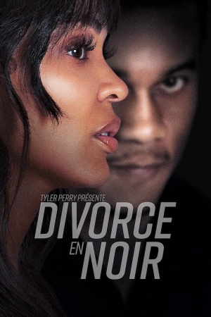 Tyler Perry pr�sente Divorce en noir - Tyler Perry's Divorce in the Black