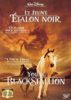 Le jeune �talon noir - The Young Black Stallion