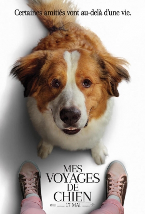 Mes voyages de chien - A Dog's Journey