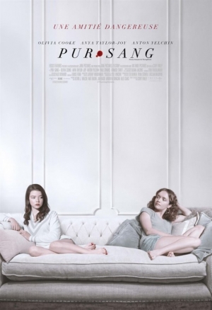 Pur-sang - Thoroughbreds